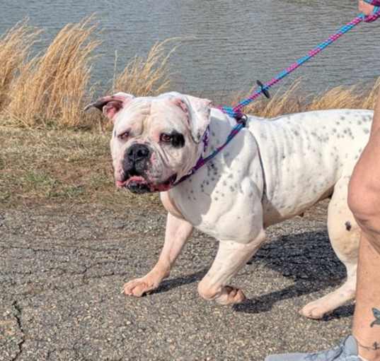 Photo of Ruthie