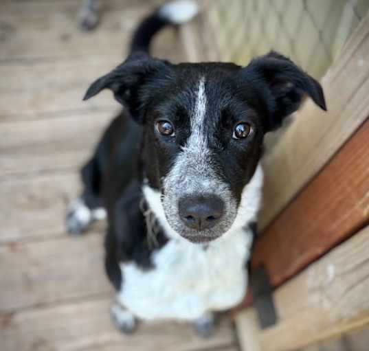 Photo of Teagan