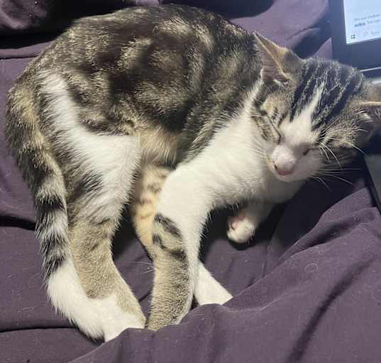 Photo of O'Malley
