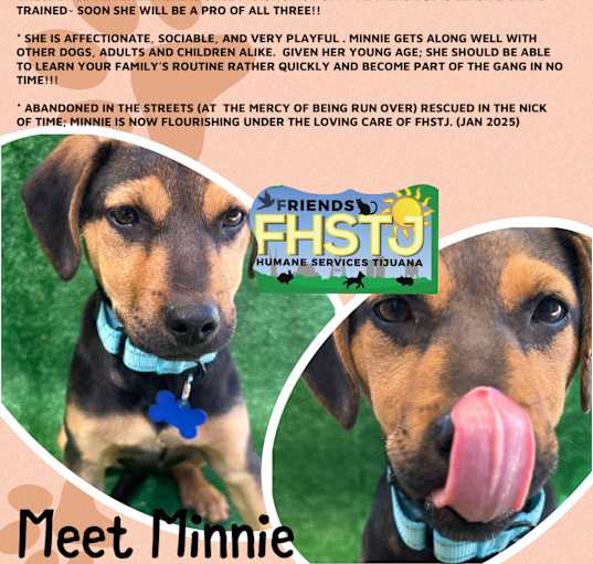 Photo of Minnie