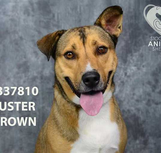 Photo of BUSTER BROWN