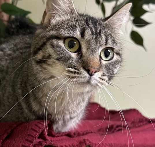 Photo of Tess