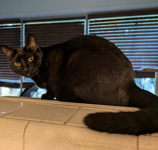 Photo of Gary