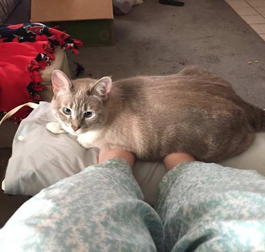 Photo of Ruby