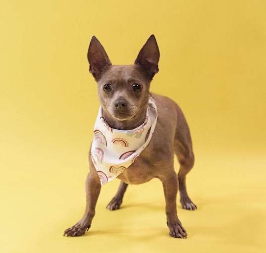 Photo of Rio