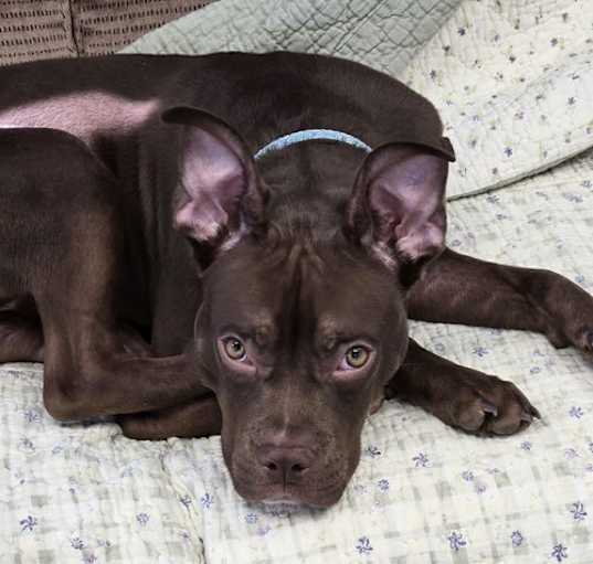 Photo of Rudy