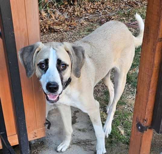 Photo of Mercy