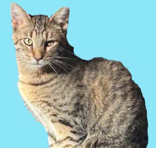 Photo of Weasley