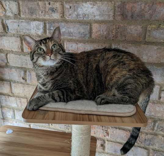 Photo of Princess