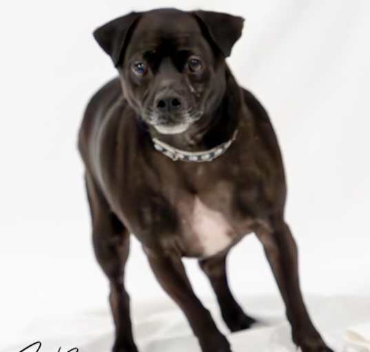 Photo of Chubbington