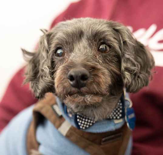 Photo of SNICKERS