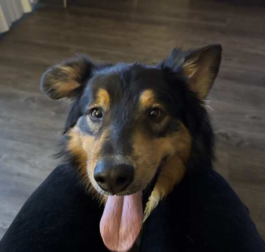 Photo of Oliver