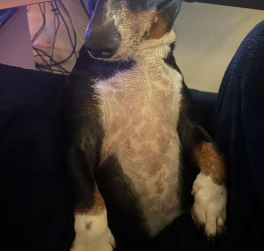 Photo of Eddie
