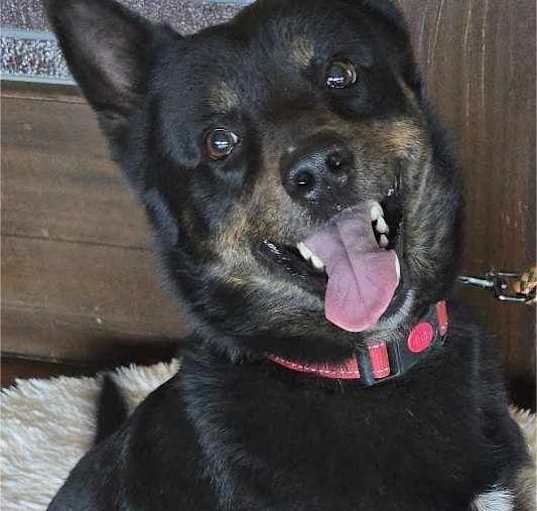 Photo of Caliber