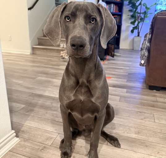 Photo of Remington