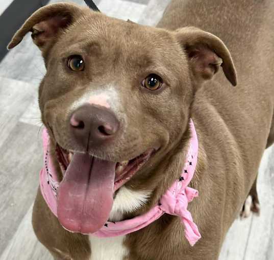 Photo of Dolly
