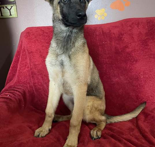 Photo of Kiara