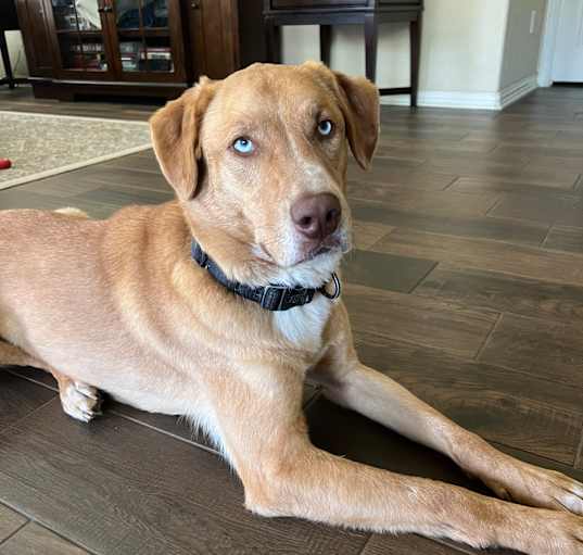 Photo of Hercules