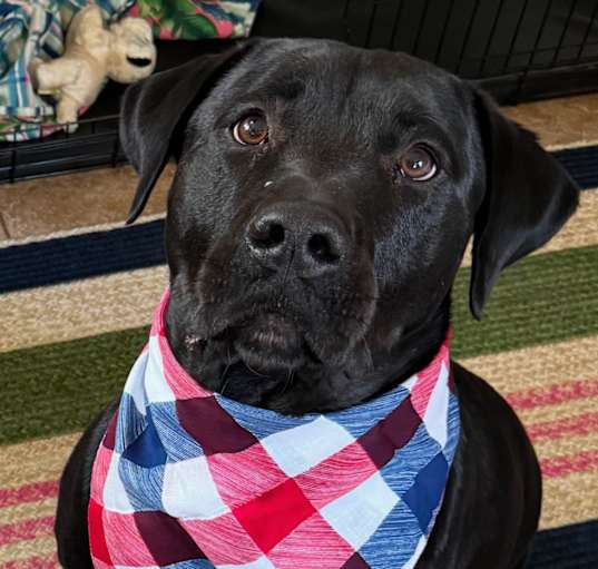 Photo of Bucky