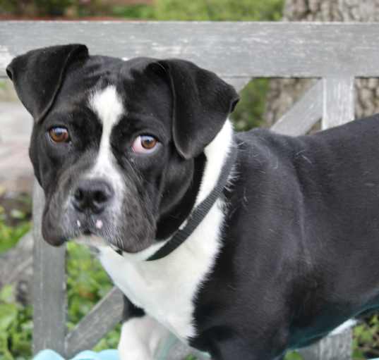 Photo of Preston aka Chunks