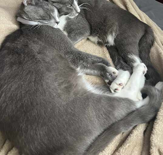 Photo of Miller & Boots