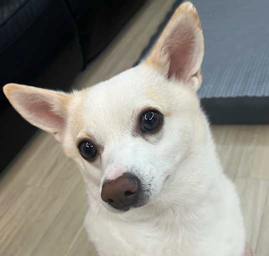 Photo of Binnie