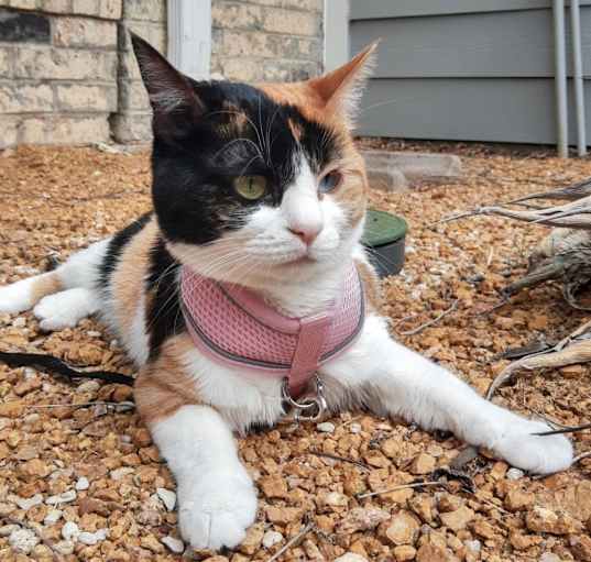 Photo of Kayleen