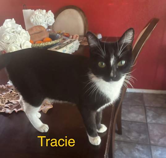 Photo of Tracie