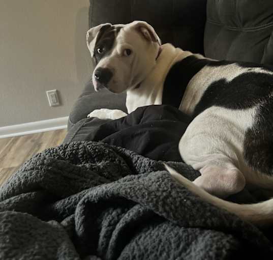 Photo of Sophia