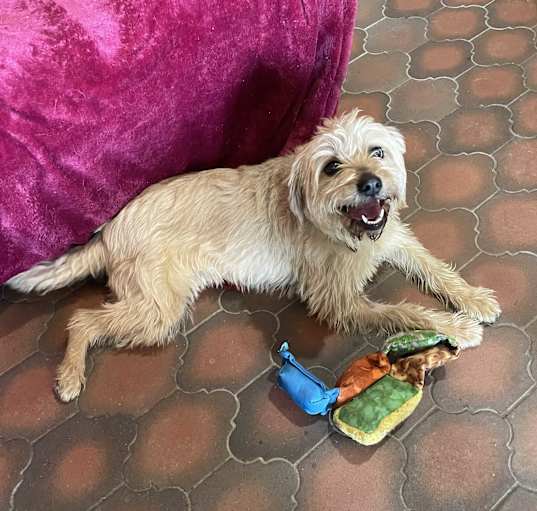 Photo of Mable