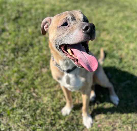 Photo of Charlie