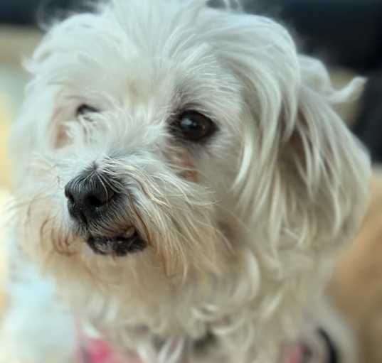 Photo of Jayla
