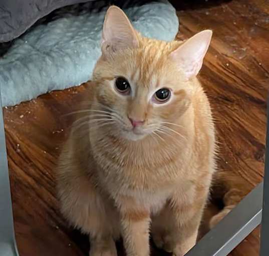 Photo of Dory