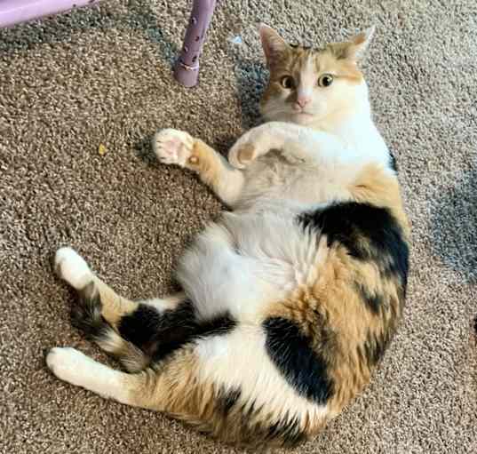 Photo of Maizie