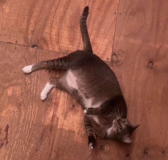 Photo of Little One
