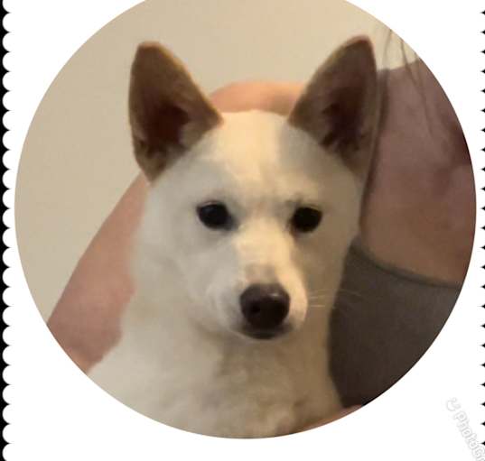 Photo of Polar