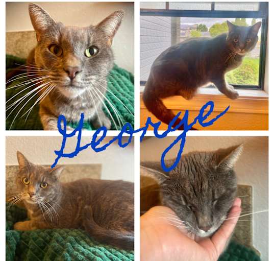 Photo of George