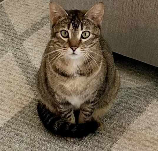 Photo of Farrah
