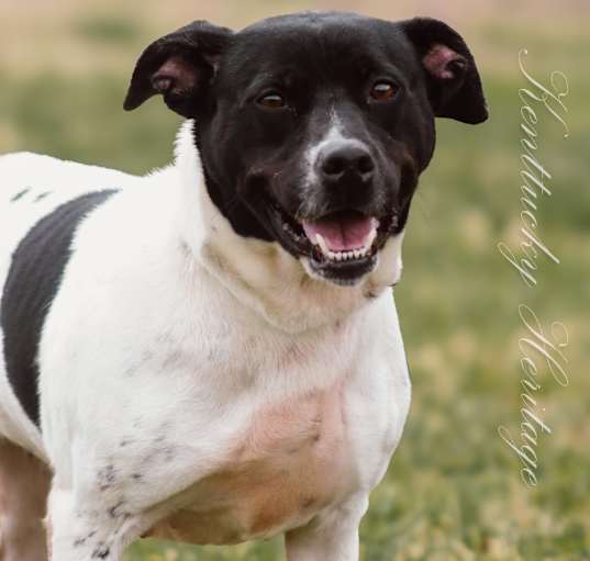 Photo of Lucy