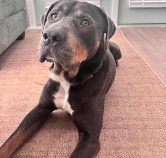 Photo of Capone