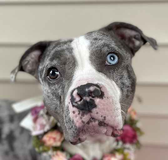 Photo of Libby