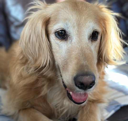 Photo of Sophie