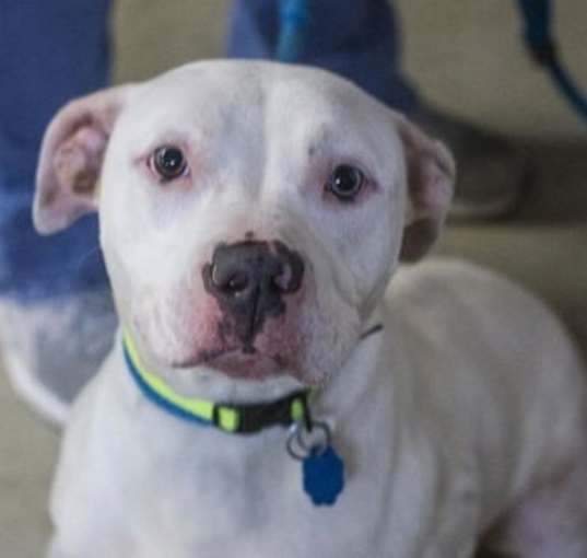 Photo of Queso