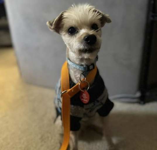 Photo of Brody D6059
