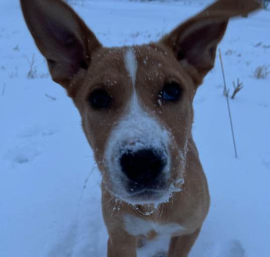 Photo of Aero