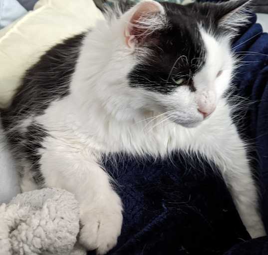 Photo of Jax