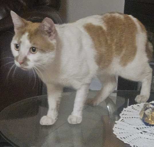 Photo of Cisco