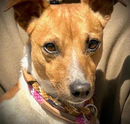 Photo of Murray JRT
