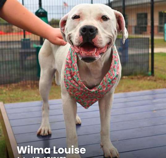 Photo of WILMA LOUISE