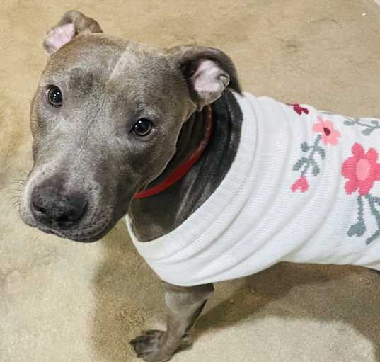 Photo of Bama